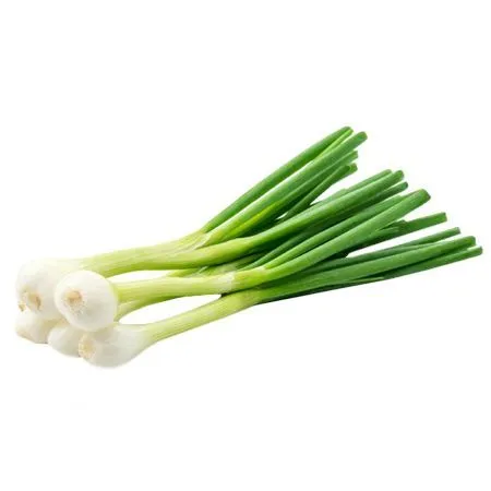 Лук зеленый