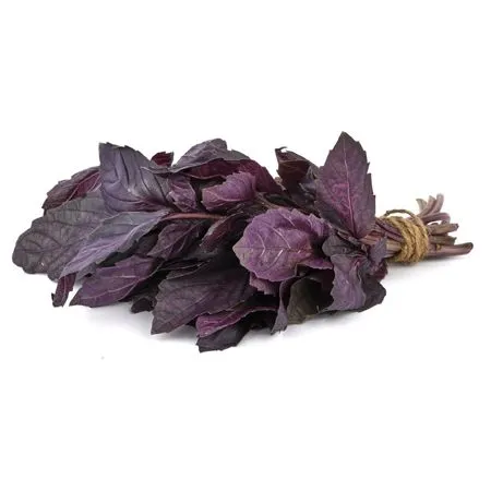 Базилик фиолетовый