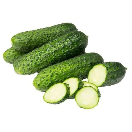 Огурцы короткоплодные