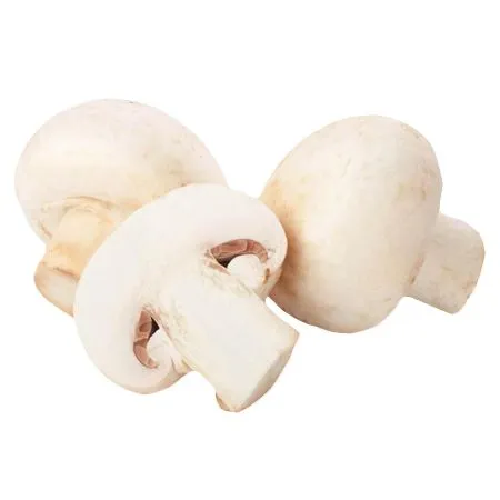 Грибы шампиньоны