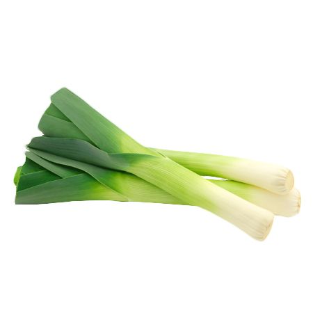 Лук порей