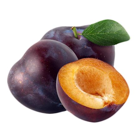 Слива